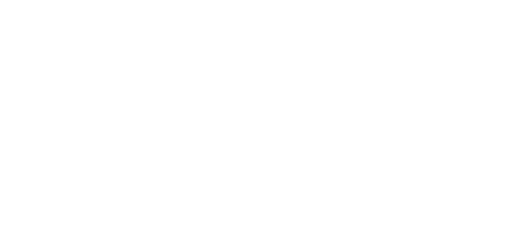 Nentisel Logo